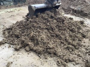 cob courses in Cornwall cob courses cob course learn cob